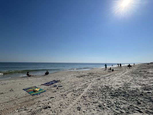 Huntington Beach State Park by null