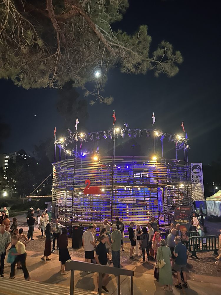 Social spots from New Swan Theater