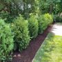 Photo of Lenares Landscape & Design
