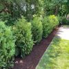 Lenares Landscape & Design gift card