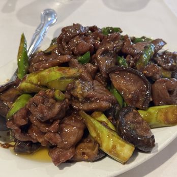 Yang Chow - Yang Chow Lamb - Chinese Near Me - Los Angeles, California Yang Chow - Yang Chow Lamb - Chinese Near Me - Los Angeles, California