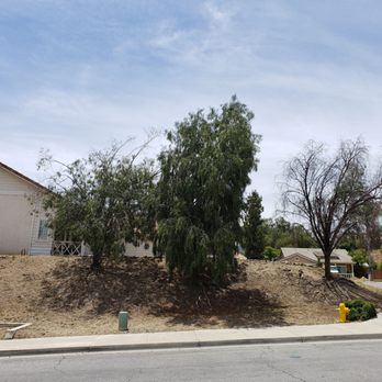 German Tree Service - Before - Tree Services Near Me - Corona, California