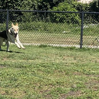 Eden Greenway Dog Park - Dog Parks Near Me - Hayward, California