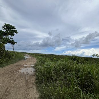 Campo Rico Trail Rides - ATV sight seeing: fields and trail - ATV Rentals/Tours Near Me - Carolina, Puerto Rico Campo Rico Trail Rides - ATV sight seeing: fields and trail - ATV Rentals/Tours Near Me - Carolina, Puerto Rico