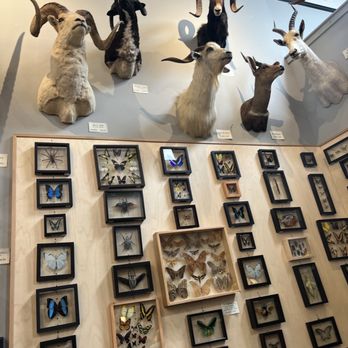 Paxton Gate - Jewelry Near Me - Portland, Oregon