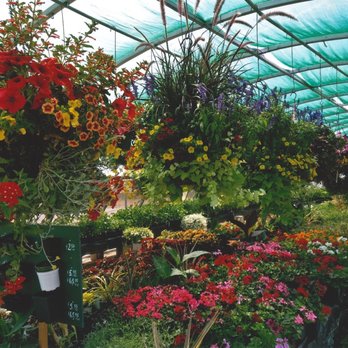 Plum Creek Garden Market Nurseries Gardening 2150 S Monaco Plum Creek Garden Market Nurseries