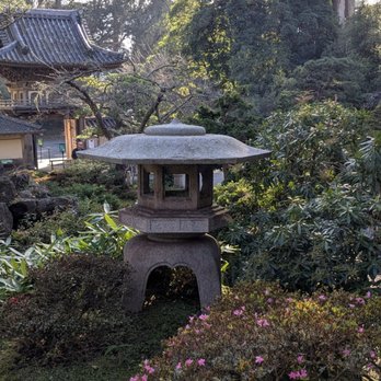 Japanese Tea Garden - Lovely lanterns - Tea Rooms Near Me - San Francisco, California