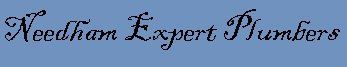 Needham Expert Plumbers Logo