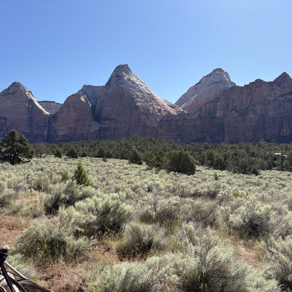 Canyon Trail Rides - Just one huge "WOW" after another!! - Horseback Riding Near Me - Springdale, Utah Canyon Trail Rides - Just one huge "WOW" after another!! - Horseback Riding Near Me - Springdale, Utah