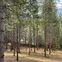 Leaverton Land Preservation