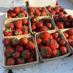 Naperville's Farmers Market - Perfect berries