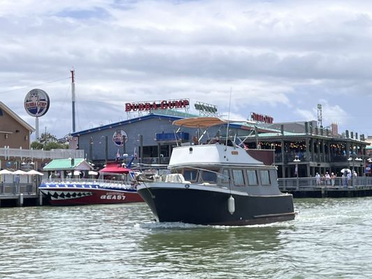 Bubba Gump Shrimp Co. by null