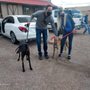 Photo of Arizona Heartfelt Hounds