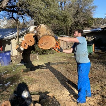 TAYBECK Tree Services - Cutting down a fallen tree - Tree Services Near Me