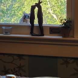 Snoopy cute squirrel photographer. Snoopy cute squirrel photographer.