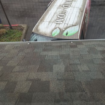 Zimp - Carpet Cleaning Near Me - Seattle, Washington Zimp - Carpet Cleaning Near Me - Seattle, Washington