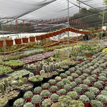 M&J Nursery - Nurseries & Gardening Near Me - Fallbrook, California