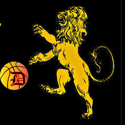 D Basketball Academy