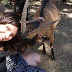 Last Minute Ranch - The goats might want to taste your dress if you let them too close. But its fun, anything for a good animal selfie!