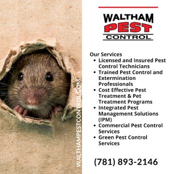 Waltham Pest Control - Pest Control Near Me - Burlington, Massachusetts