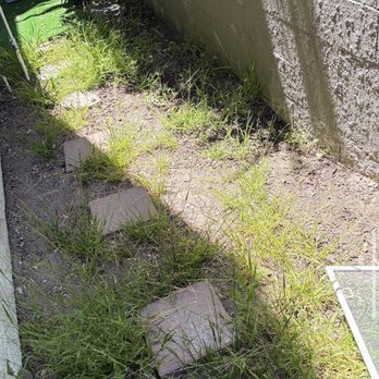 Highridge - Overgrown weeds on my patio that attracted rats and raccoons - Apartments Near Me - Rancho Palos Verdes, California