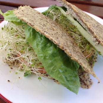 ChocolaTree - Avocado herb sandwich - Vegetarian Near Me - Sedona, Arizona ChocolaTree - Avocado herb sandwich - Vegetarian Near Me - Sedona, Arizona
