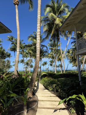 The St. Regis Bahia Beach Resort, Puerto Rico by null