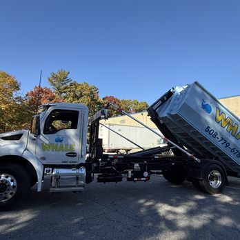 Whale Dumpster Rental - Dumpster Rental Near Me - North Providence, Rhode Island Whale Dumpster Rental - Dumpster Rental Near Me - North Providence, Rhode Island