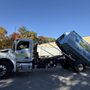Photo of Whale Dumpster Rental