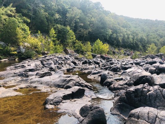 Johnson's Shut-Ins State Park by null