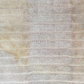 Orange Carpet Cleaning - Urine treatment and stain removal - Carpet Cleaning Near Me