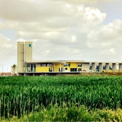 Piscine des Weppes