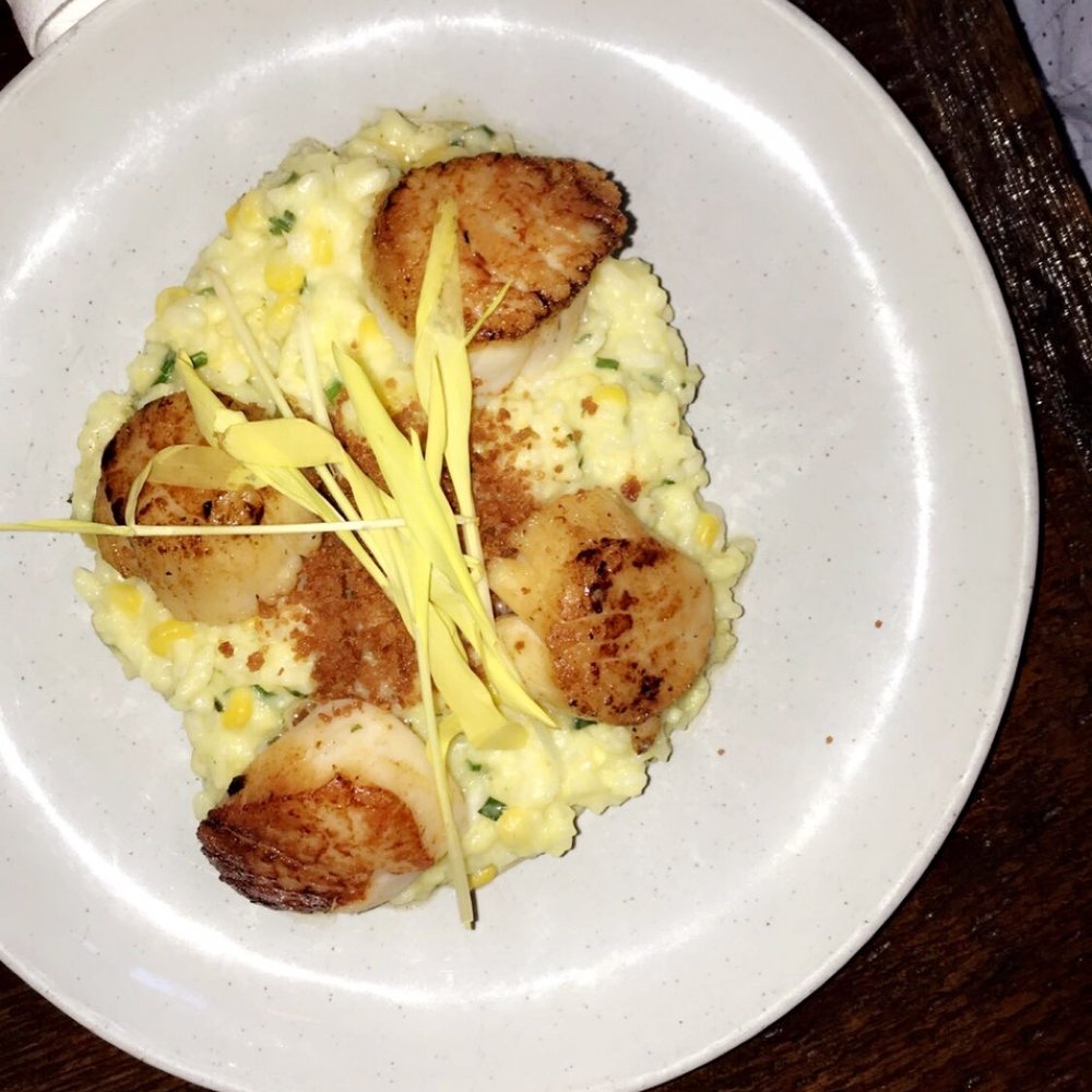 Copperhill - Sea Scallops - New American Near Me - Williston Park, New York Copperhill - Sea Scallops - New American Near Me - Williston Park, New York
