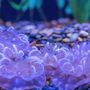 Photo of Aquarium Of The Bay