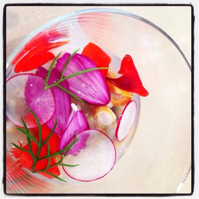 L’air du temps by null