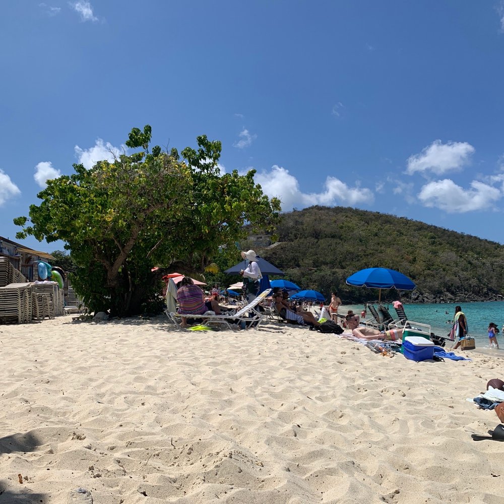 Coki Beach - Coki Beach - Beaches Near Me - St Thomas, Virgin Islands Coki Beach - Coki Beach - Beaches Near Me - St Thomas, Virgin Islands