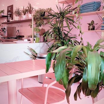 Holy Matcha - Inside - Tea Rooms Near Me - San Diego, California Holy Matcha - Inside - Tea Rooms Near Me - San Diego, California