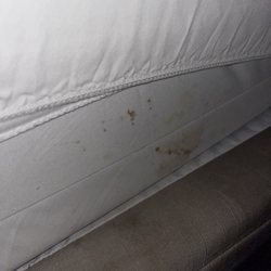 Informed by the county Department of Public Health that this is a sign of bed bugs and not fecal matter or blood