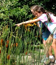 New Canaan Nature Center