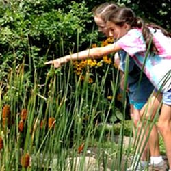 New Canaan Nature Center - Summer Camps