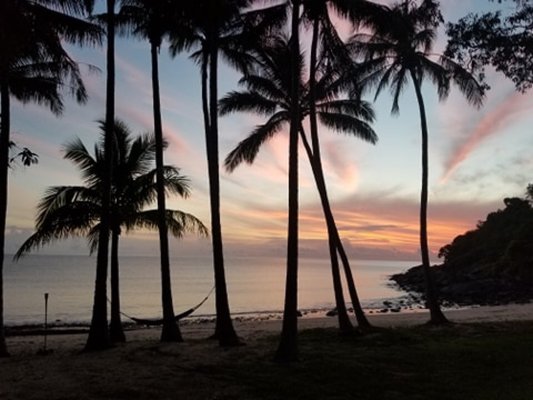 Turtle Cove Beach Resort - BYO Food/Drinks - Adults Only Space - Cairns/Port Douglas by null