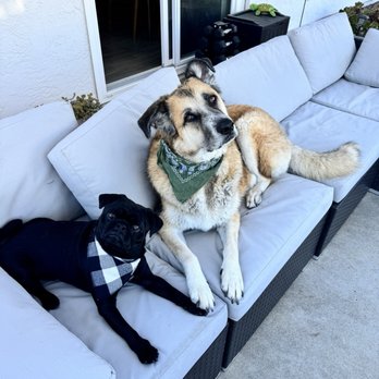 Lindsey Veterinary Care - Veterinarians Near Me - San Diego, California Lindsey Veterinary Care - Veterinarians Near Me - San Diego, California