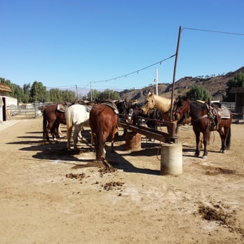Smoke Tree Stables - Horses - Horseback Riding Near Me - Palm Springs, California Smoke Tree Stables - Horses - Horseback Riding Near Me - Palm Springs, California