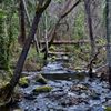 Lithia Park gift card