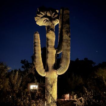 Desert Botanical Garden - This cactus has a face ! - Botanical Gardens Near Me - Phoenix, Arizona Desert Botanical Garden - This cactus has a face ! - Botanical Gardens Near Me - Phoenix, Arizona