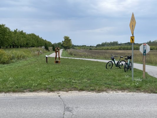 Grand Traverse Bike Tours by null