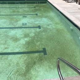 The pool water is imported from The Rio olympics ! Nasty. Disgusting. We pay for this!?!???