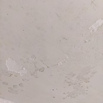 Pristine Restoration - Mold on my bathroom ceiling - Damage Restoration Near Me Pristine Restoration - Mold on my bathroom ceiling - Damage Restoration Near Me