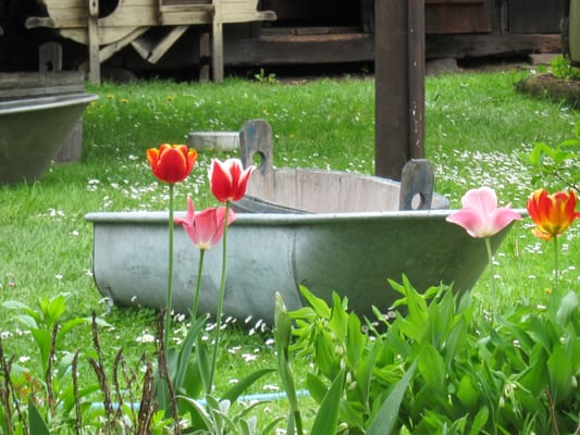 Freilandmuseum Lehde by null