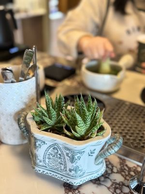 Birdies & Lattes by null